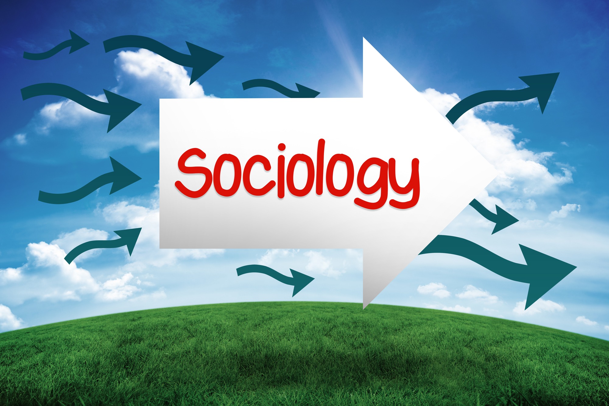 specializzazioni dopo la laurea in sociologia
